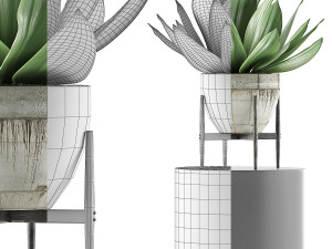 plants collection 109 Modelo 3D