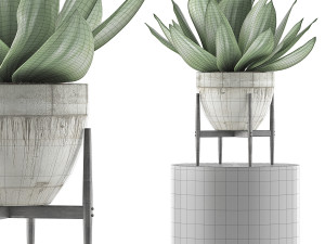 plants collection 109 Modelo 3D