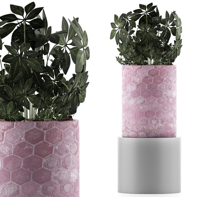 plants collection 110 3Dモデル .c4d .max .obj .3ds .fbx .stl .blend 