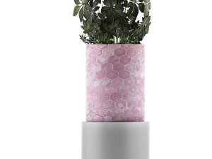 plants collection 110 3Dモデル