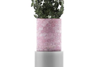 plants collection 110 3D Model