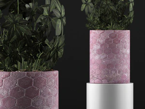 plants collection 110 3D Model