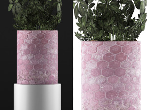 plants collection 110 3Dモデル