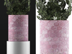 plants collection 110 3D Model