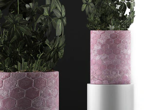 plants collection 110 3D Model
