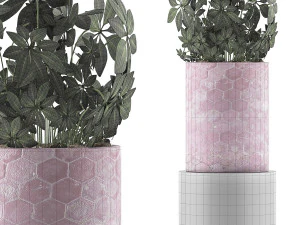 plants collection 110 3D Model