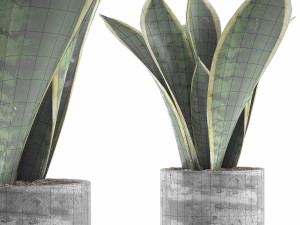 plants collection 111 3D Model