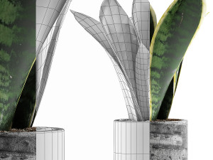 plants collection 111 3D Model