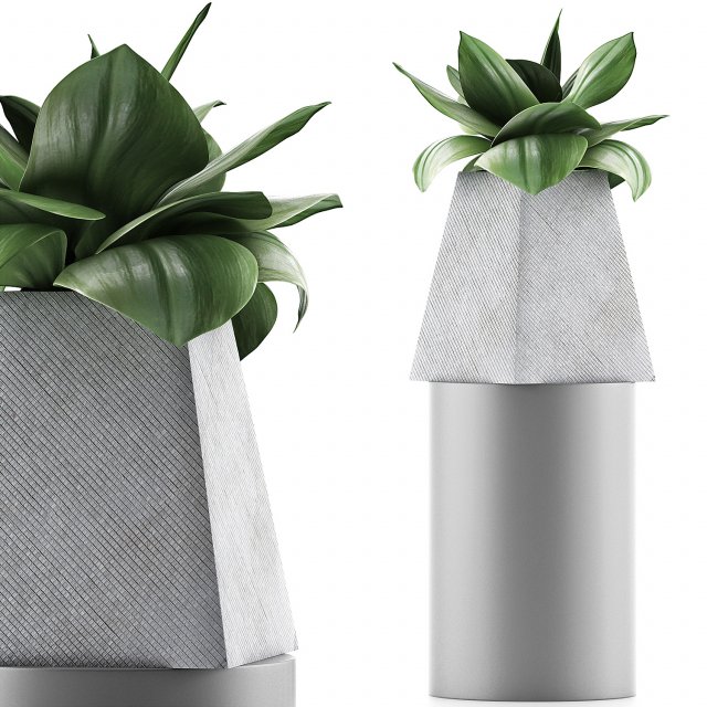 plants collection 112 Modelo 3D .c4d .max .obj .3ds .fbx .stl .blend 