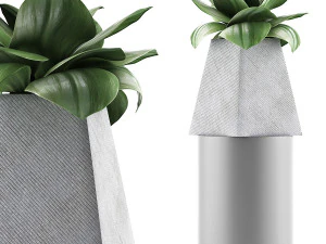 raccolta piante 112 Modello 3D