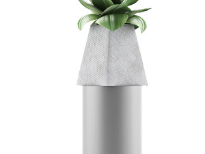 plants collection 112 Modelo 3D