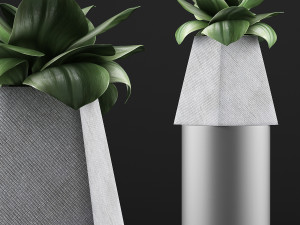 plants collection 112 Modelo 3D