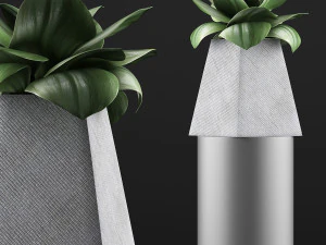 plants collection 112 3D Model