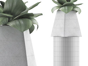 plants collection 112 3D Model