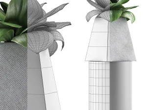 plants collection 112 3D Model