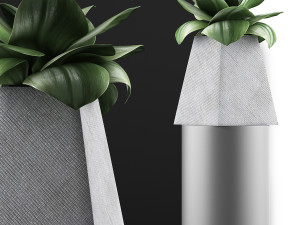 plants collection 112 Modelo 3D