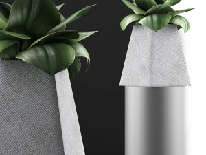 plants collection 112 3D Model