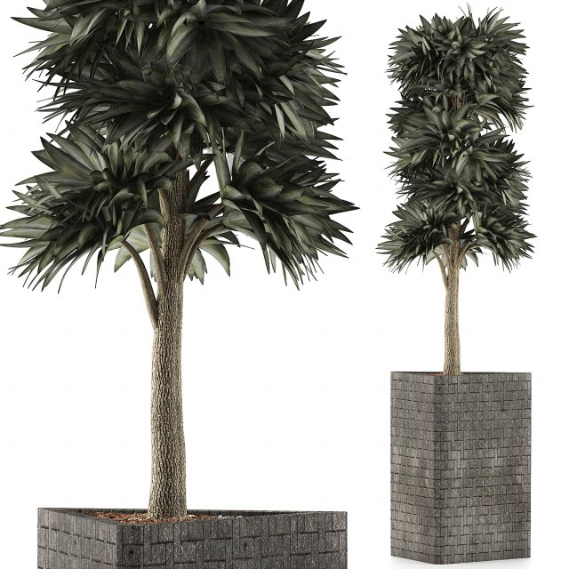 plants collection 113 Modèle 3D .c4d .max .obj .3ds .fbx .stl .blend 