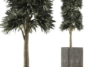 raccolta piante 113 Modello 3D