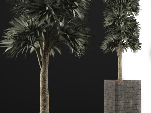 plants collection 113 Modèle 3D