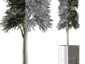 plants collection 113 Modèle 3D