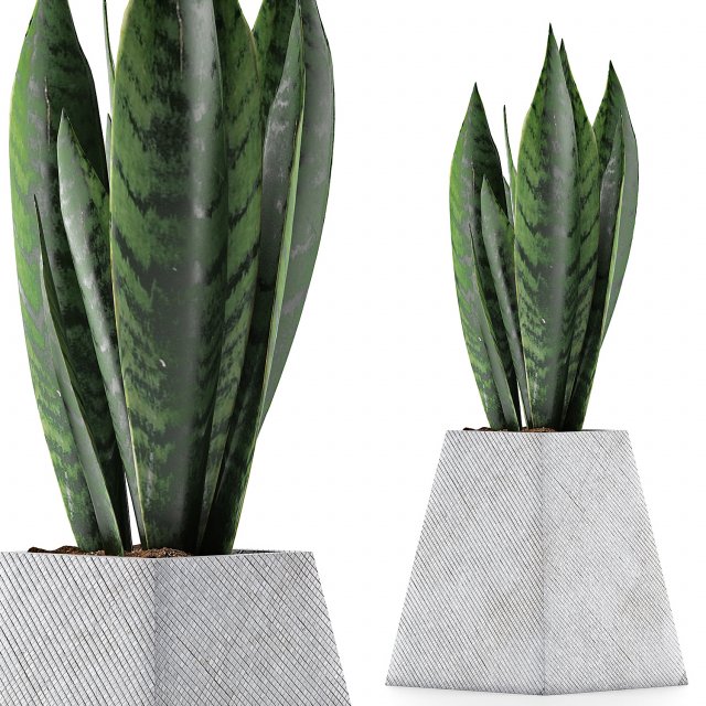 plants collection 114 Modelo 3D .c4d .max .obj .3ds .fbx .stl .blend 