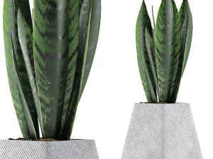 raccolta piante 114 Modello 3D