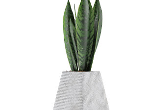 plants collection 114 Modelo 3D
