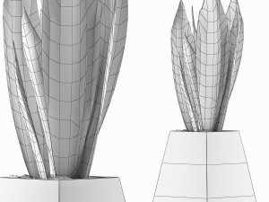 plants collection 114 Modelo 3D