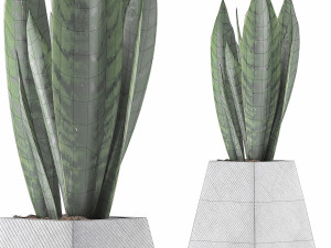 plants collection 114 Modelo 3D