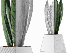plants collection 114 Modelo 3D
