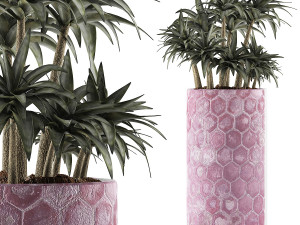 plants collection 115 3D Model