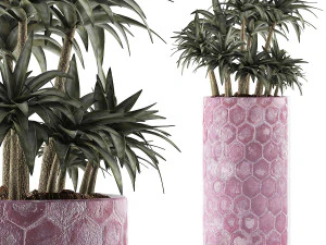 raccolta piante 115 Modello 3D