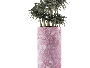 plants collection 115 3D 模型