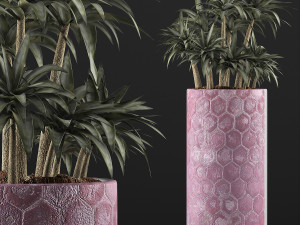 plants collection 115 3D 模型
