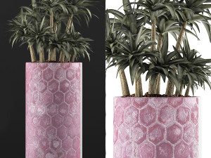 plants collection 115 3D 模型
