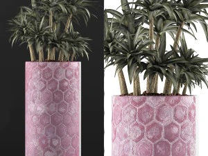 plants collection 115 3D Model