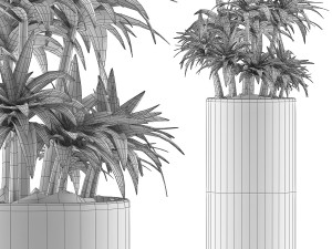 plants collection 115 3D 模型