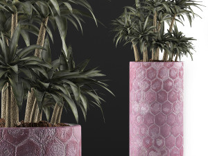 plants collection 115 3D 模型