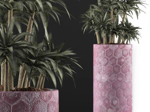 plants collection 115 3D Model