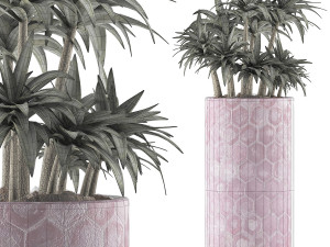 plants collection 115 3D 模型