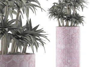 plants collection 115 3D Model