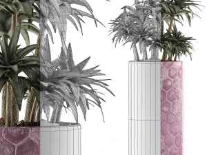 plants collection 115 3D Model