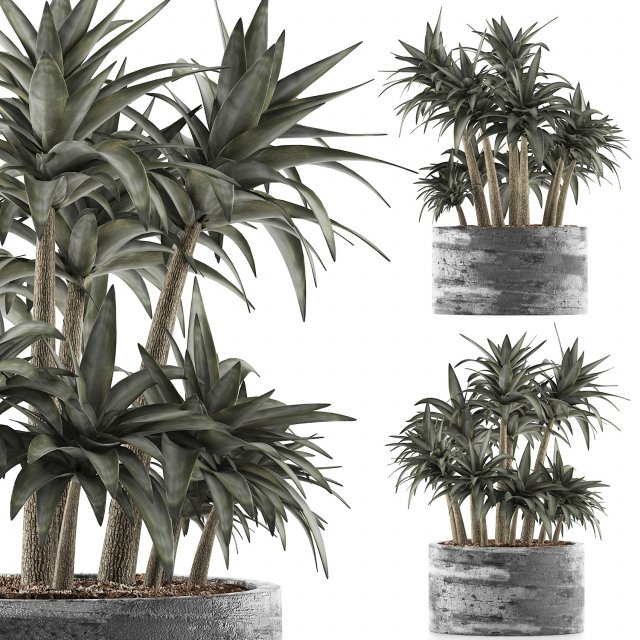 plants collection 116 3D-Modell .c4d .max .obj .3ds .fbx .stl .blend 