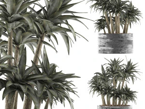 raccolta piante 116 Modello 3D