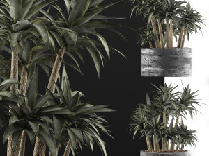plants collection 116 3D-Modell