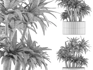 plants collection 116 3D Model