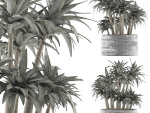 plants collection 116 3D-Modell