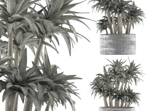 plants collection 116 3D Model