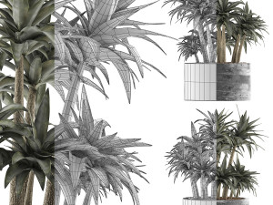 plants collection 116 3D-Modell
